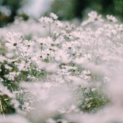 爱游戏app手机版