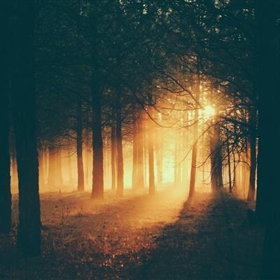 乐鱼平台app下载官网